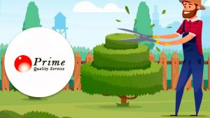 Terceirização de Jardinagem